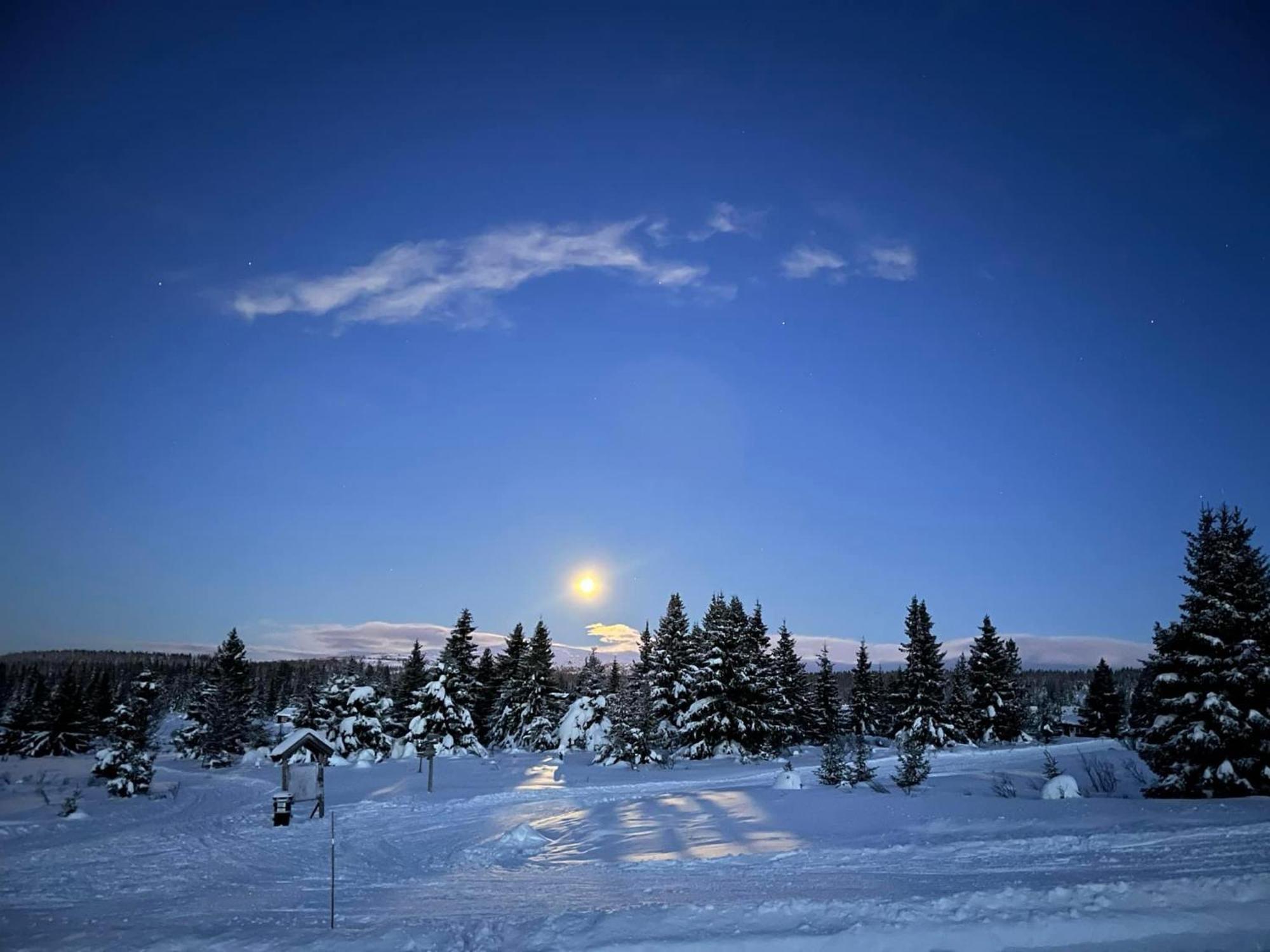 Nordseter Fjellpark, Hyttegrend Екстер'єр фото